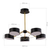 EVOLUCE SLE6005-402-05 Светильник потолочный Черный, Золотистый/Черный LED 5*10W ВАЛЛЕ