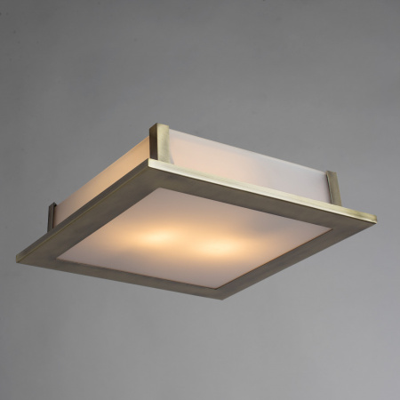 Потолочный светильник Arte Lamp FLUSHES A6064PL-2AB