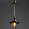 Подвесной светильник Arte Lamp FISHERMAN A5518SP-1RB