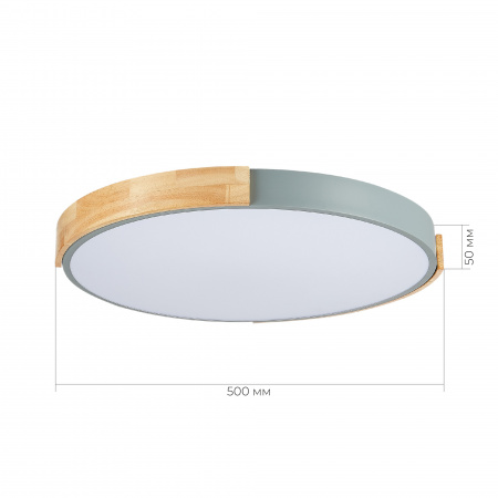 EVOLUCE SLE201372-01 Светильник потолочный Серый, Светлое дерево/Белый LED 1*40W 3000K/4000K/6000K ДЕЛИА
