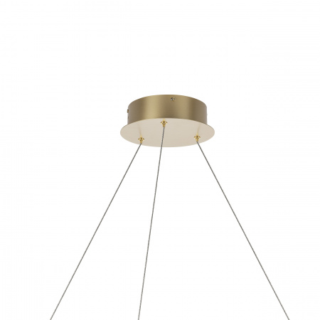 Люстра подвесная Lightstar Rotonda 736333