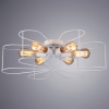 Потолочная люстра Arte Lamp CAMOMILLA A6049PL-6WH