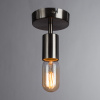 Потолочный светильник Arte Lamp FUORI A9184PL-1SS