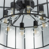 Люстра потолочная Lightstar Genni 798287