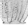 Бра Lightstar Riccio 705634