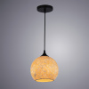 Подвесной светильник Arte Lamp MOSAIC A8076SP-1BK