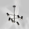 Люстра потолочная Lightstar Roma 718267