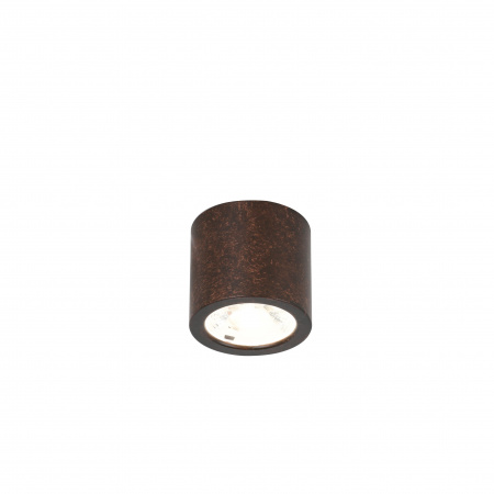 Потолочный светильник Favourite Light Deorsum 2809-1C