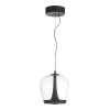 ST LUCE SL6014.423.01 Светильник подвесной ST-Luce Черный/Прозрачный, Черный LED 1*17W 3000K РИПЛ
