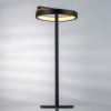 Настольная лампа Lightstar Lodi 723927