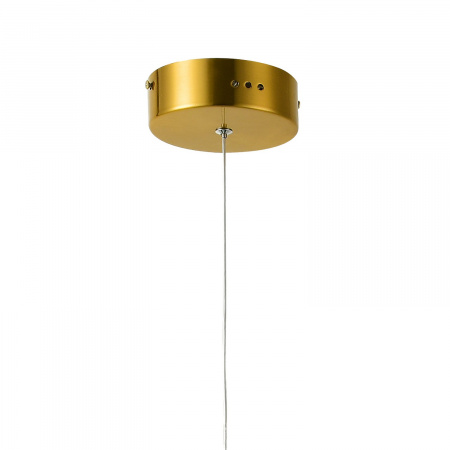Подвес Favourite Light Conceptus 2642-1P