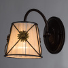 Бра Arte Lamp FORTUNA A5495AP-1BR