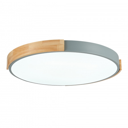 EVOLUCE SLE201372-01 Светильник потолочный Серый, Светлое дерево/Белый LED 1*40W 3000K/4000K/6000K ДЕЛИА