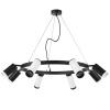 Люстра подвесная Lightstar Rullo LR01886437467