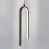 Подвес Lightstar Saturno 749017