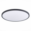 ST LUCE ST601.442.48 Светильник потолочный Черный LED 1*48W 4000K 4 320Lm Ra>90 120° IP20 D600xH27 185-265V Накладные светильники