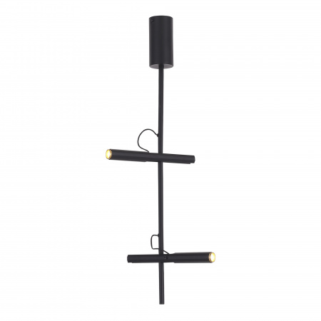 ST LUCE SL6210.403.02 Светильник подвесной ST-Luce Черный/Черный, Золотистый LED 2*3W 3000K ЛИЛИТ