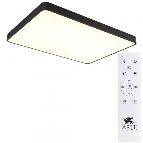 Потолочный светильник Arte Lamp SCENA A2662PL-1BK
