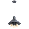 Подвесной светильник Arte Lamp STARK A9347SP-3BK