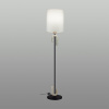 Торшер ODEON LIGHT MODERN 5410/1F