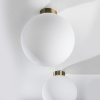 Люстра потолочная Lightstar Globo 812031