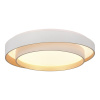 EVOLUCE SLE6009-502-01 Светильник потолочный Белый/Белый LED 1*50W 3000K/4000K/6000K КРОСБИ