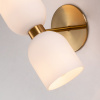 Настенный светильник Favourite Light Amusing 2876-1W
