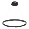 ST LUCE SL6238.433.01 Светильник подвесной ST-Luce черный/черный LED 1*32W 4000K ПАРИЛЛА
