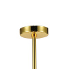 Подвесная люстра Favourite Light Celebratio 2205-10P