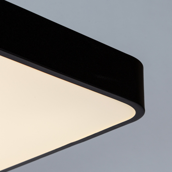 Потолочный светильник Arte Lamp SCENA A2662PL-1BK