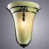 Настенный светильник Arte Lamp COPPERLAND A7845AP-1AB