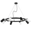 Люстра подвесная Lightstar Rullo LR018374364