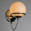 Бра Arte Lamp BERGAMO A2990AP-1CC