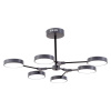 EVOLUCE SLE6003-702-06 Светильник потолочный Серый, Черный/Серый LED 6*10W МОНТАНА