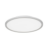 EVOLUCE SLE1811-502-01 Светильник потолочный Белый/белая LED 1*42W 4000K ТАССЕН