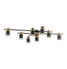 Потолочная люстра Favourite Light Topper 2825-8P