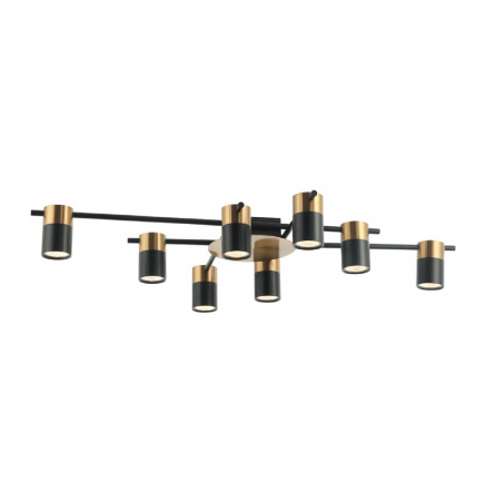 Потолочная люстра Favourite Light Topper 2825-8P