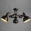 Потолочная люстра Arte Lamp MARTIN A5216PL-3BR