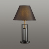 Настольная лампа LUMION NEOCLASSI 5290/1T