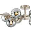 Потолочная люстра Favourite Light Varietas 2650-10U
