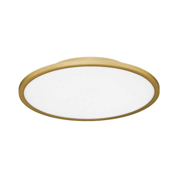 EVOLUCE SLE1811-202-01 Светильник потолочный Золотистый/белая LED 1*42W 4000K ТАССЕН