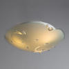 Потолочный светильник Arte Lamp JASMINE A4040PL-3CC