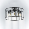 Люстра потолочная Lightstar Genni 798287