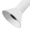 Подвес Lightstar Palla 737036