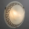 Потолочный светильник Arte Lamp ANTICA A3640PL-2AB