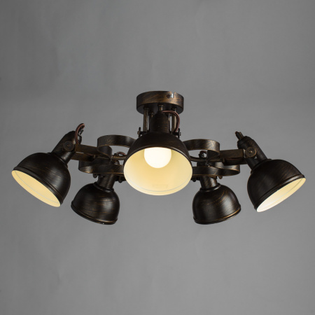 Потолочная люстра Arte Lamp MARTIN A5216PL-5BR