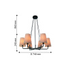 Подвесная люстра Favourite Light Pfefferling 2364-6P