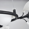 Люстра подвесная Lightstar Ceramo BW 799067