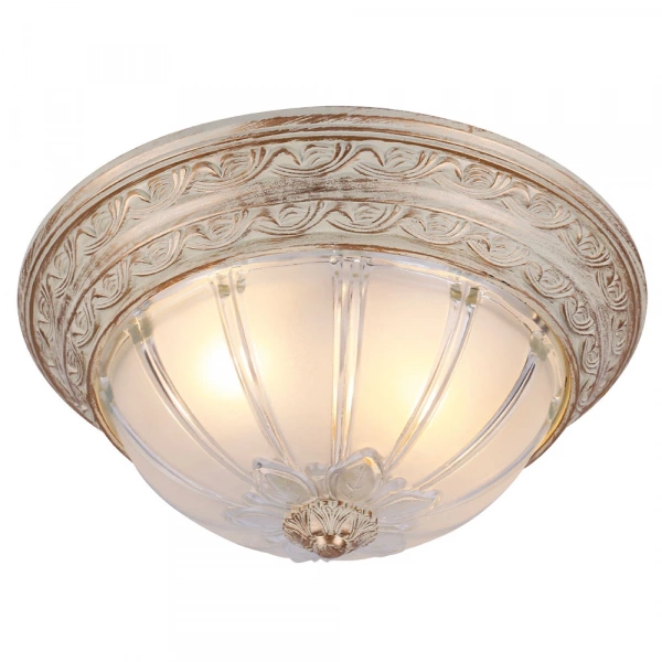 Потолочный светильник Arte Lamp PIATTI A8014PL-2WA