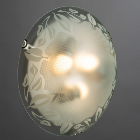 Потолочный светильник Arte Lamp LEAVES A4020PL-3CC